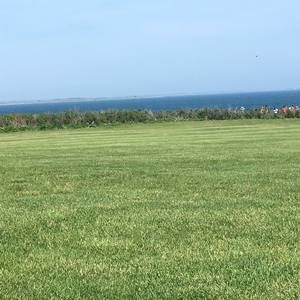 Meet your Posher, Sue